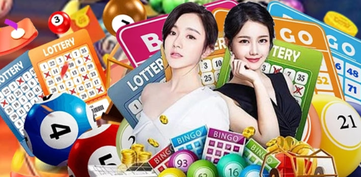qq288