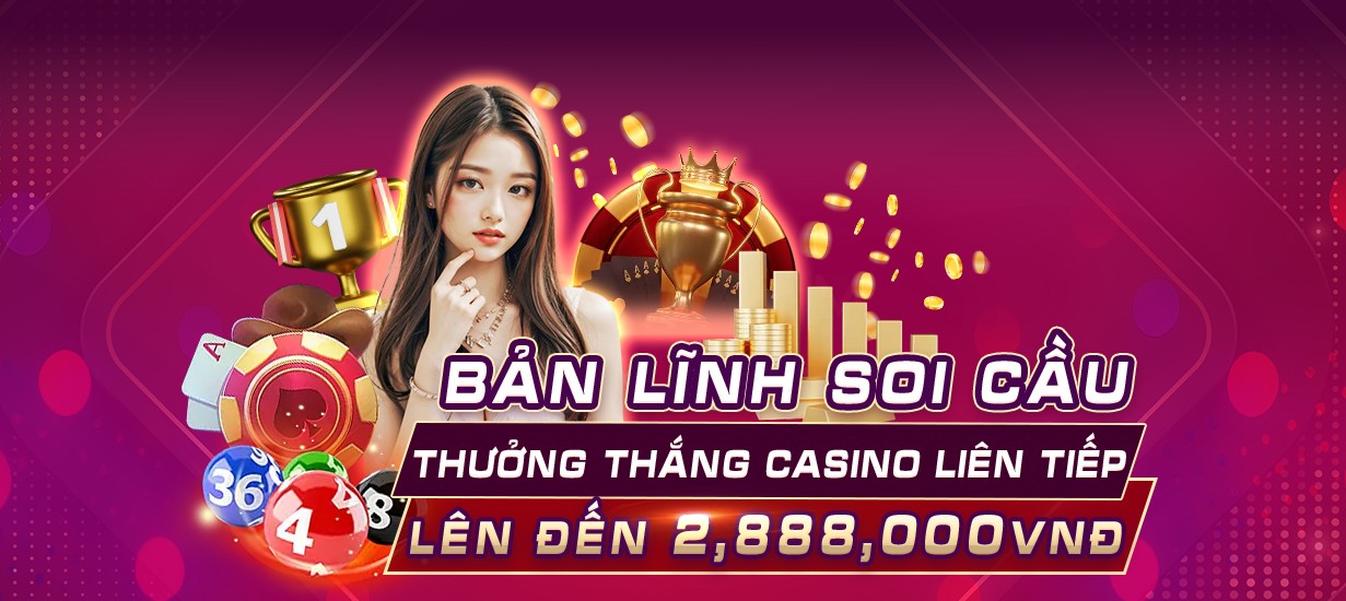 qq288