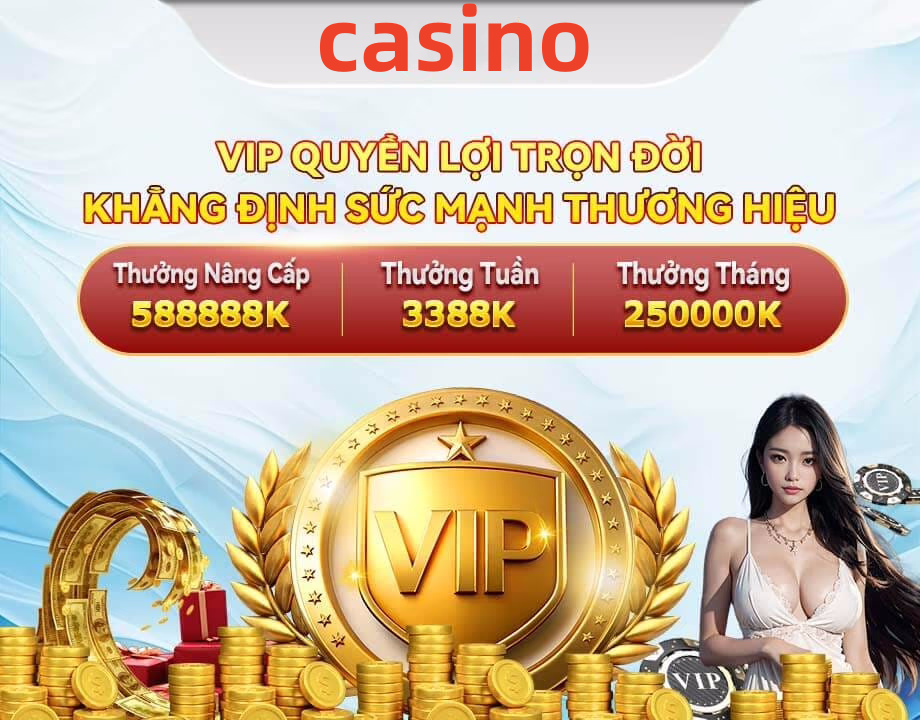 qq288
