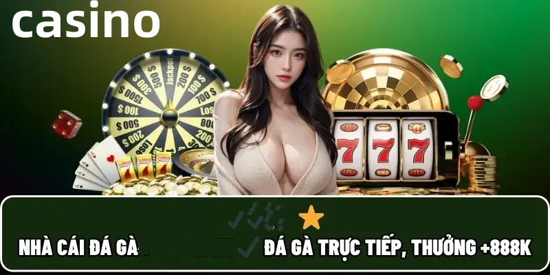 qq288