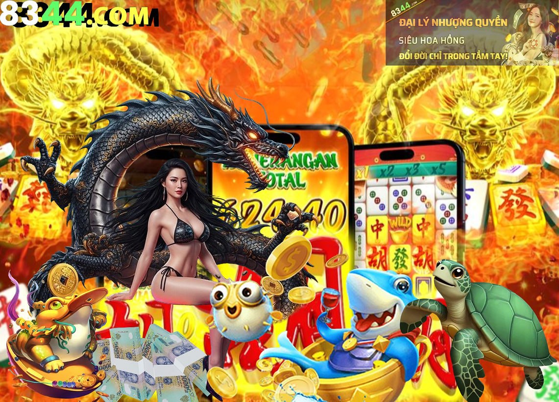 qq288