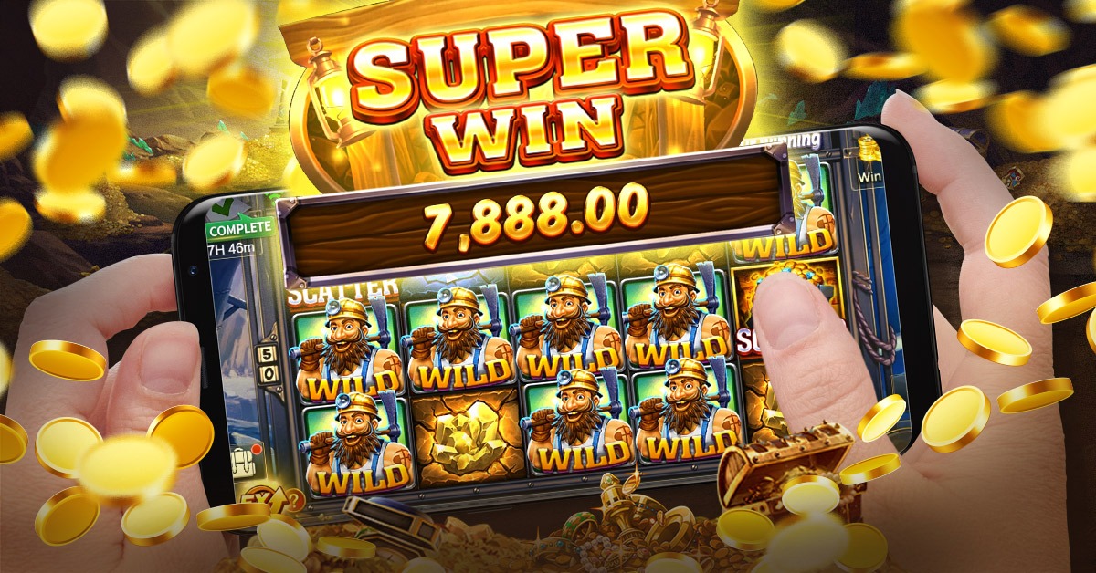qq288