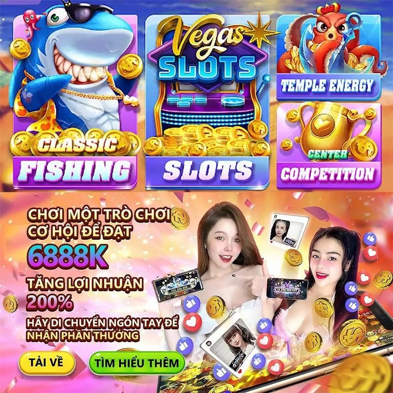 qq288