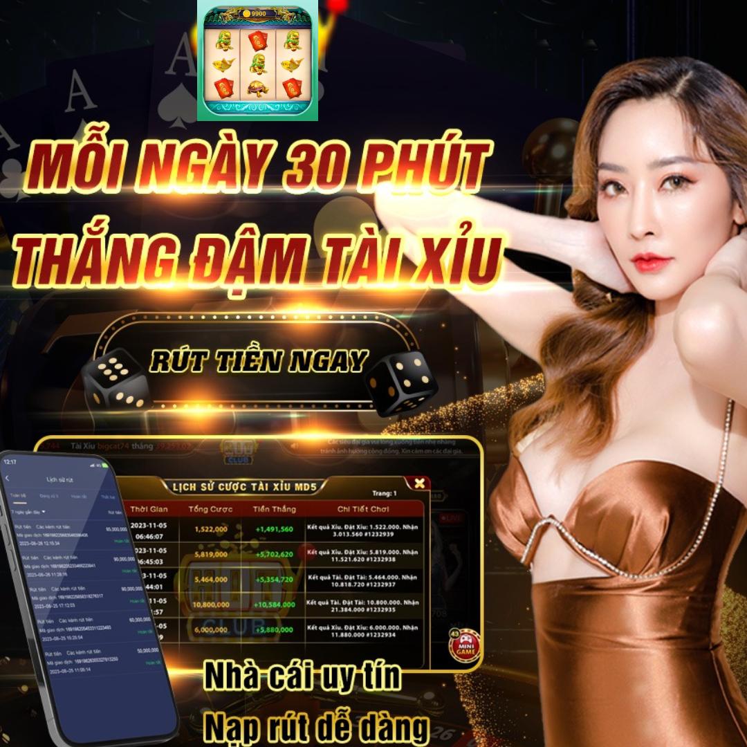 qq288