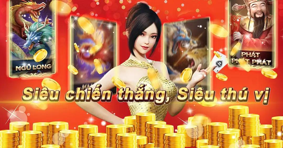 qq288