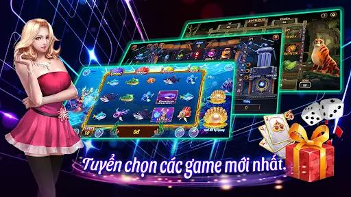 qq288