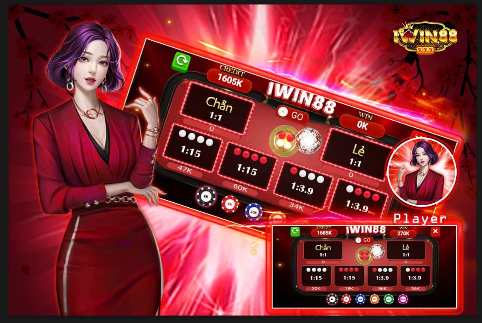 qq288