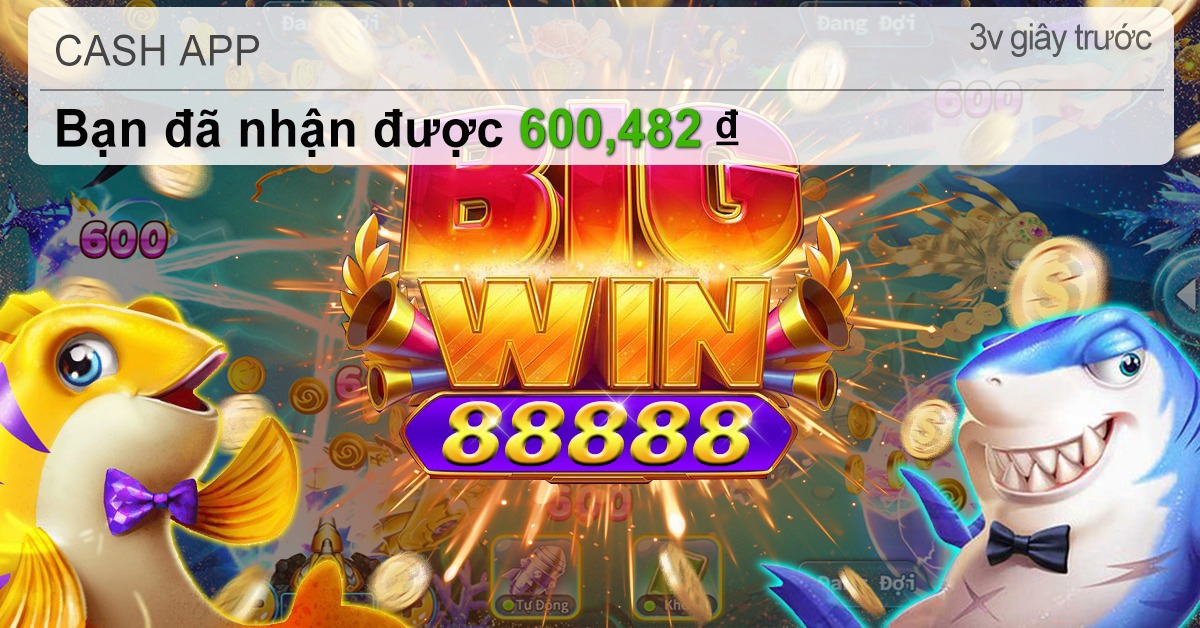 qq288