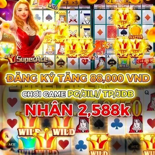 qq288